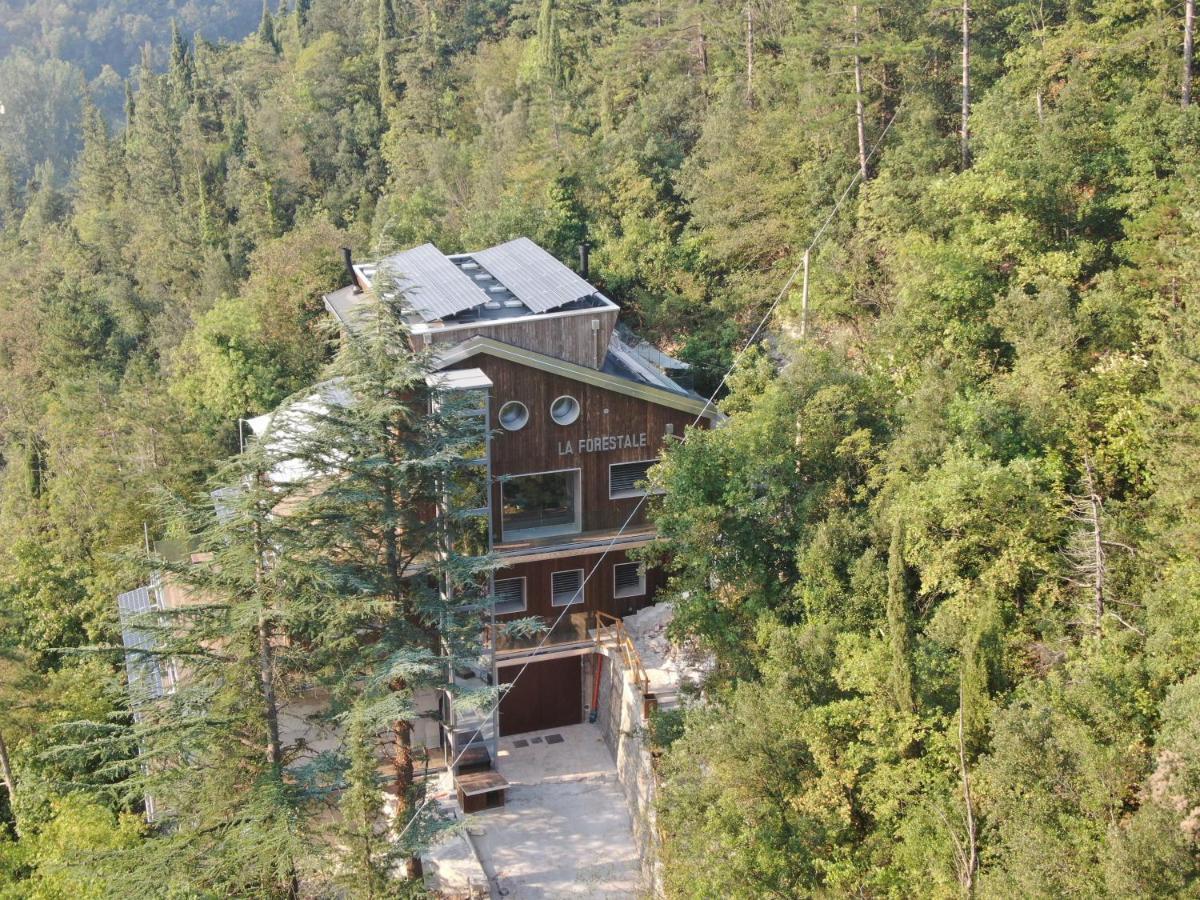 La Forestale Luxury Ecolodge B&B Primo Piano Acqualagna Dış mekan fotoğraf