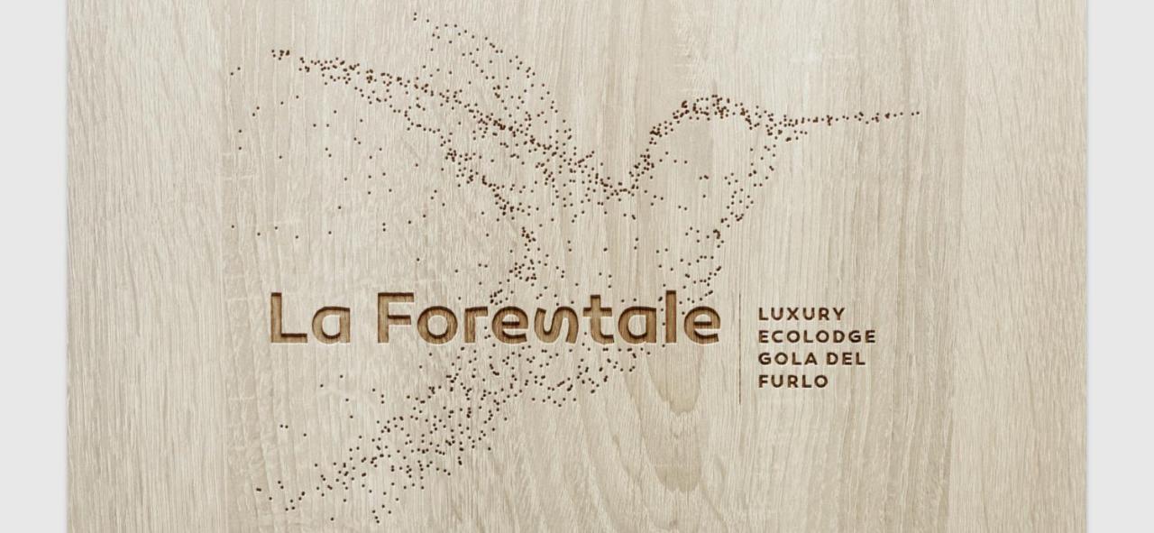 La Forestale Luxury Ecolodge B&B Primo Piano Acqualagna Dış mekan fotoğraf