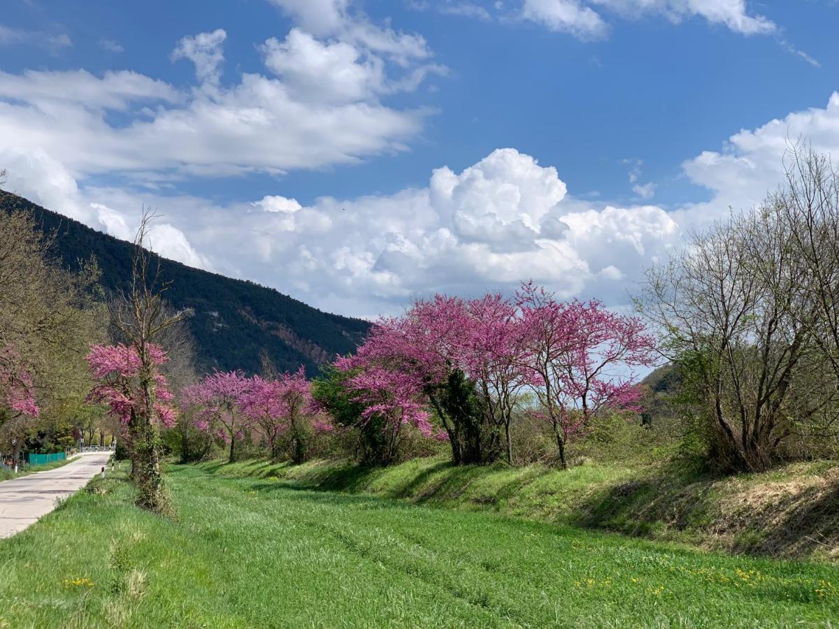 La Forestale Luxury Ecolodge B&B Primo Piano Acqualagna Dış mekan fotoğraf