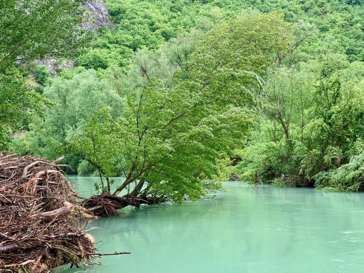 La Forestale Luxury Ecolodge B&B Primo Piano Acqualagna Dış mekan fotoğraf